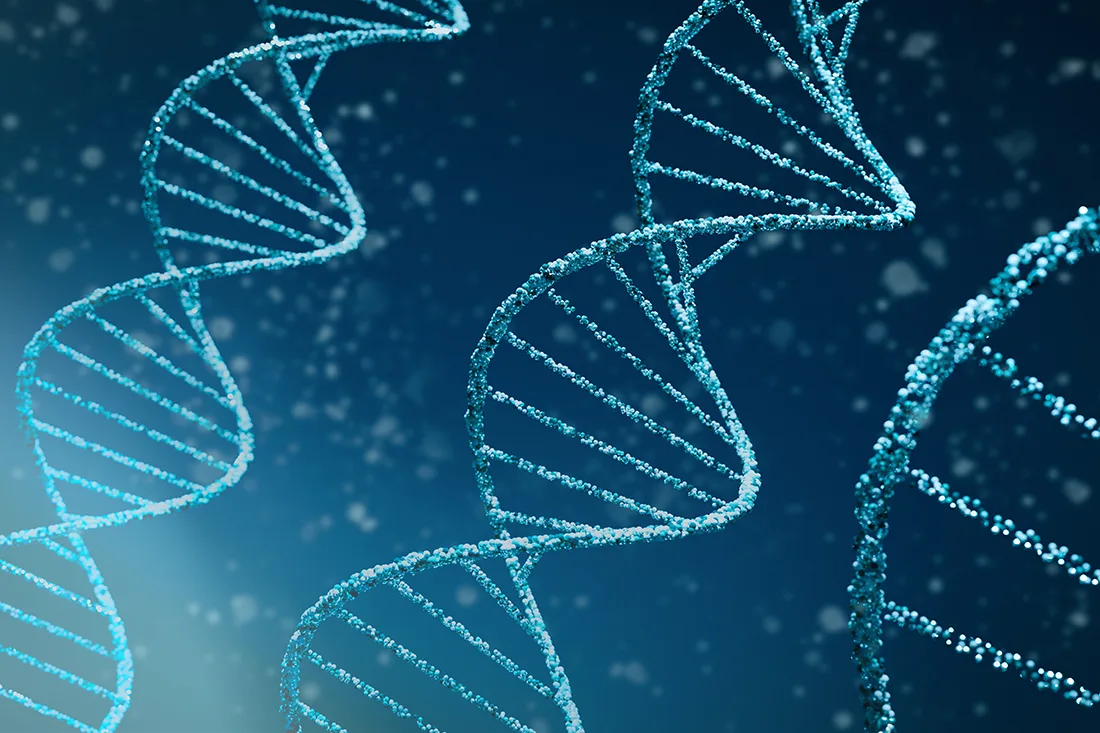 DNA Image for CPG